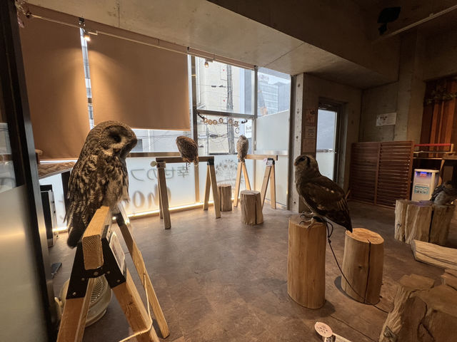 大阪5日遊打卡路線