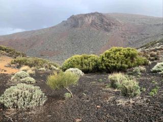 A Majestic Encounter with the Highest Peak in Spain
