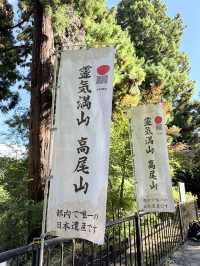 米其林三星的秋日絮語～滿山紅葉的高尾山