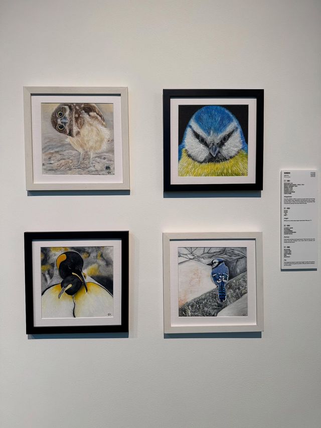 Stephy 鄧麗欣1️⃣首個🎨個人畫展