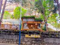 Chihu Coffee Culture Park