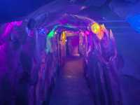 Highlights of Vinwonders