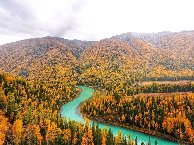 “Golden Forest of Kanas Lake” “Golden Forest of Kanas Lake”