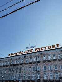 札幌初夏兩日散步：把晴天、海膽與限定 T 都帶回家