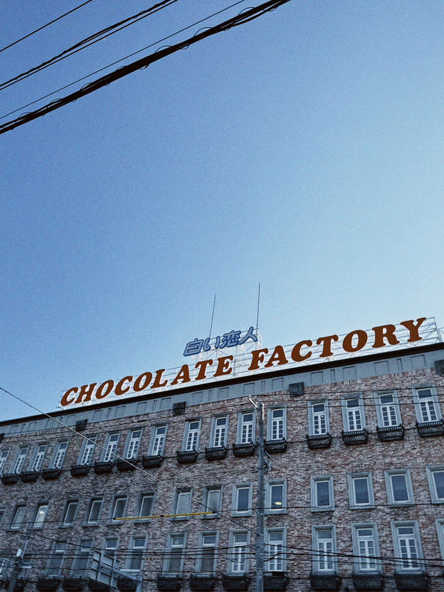 札幌初夏兩日散步：把晴天、海膽與限定 T 都帶回家