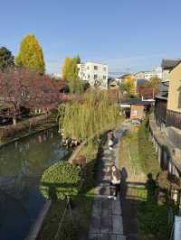 🍁 伏見十石舟:秋日泛舟,穿越時光的水上畫卷 🍂