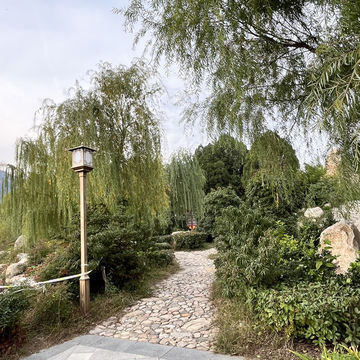 🌿 Hushan Park (虎山公园) — The Quiet Side of Taishan You Shouldn’t Skip