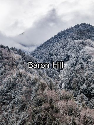Baron Hill 
