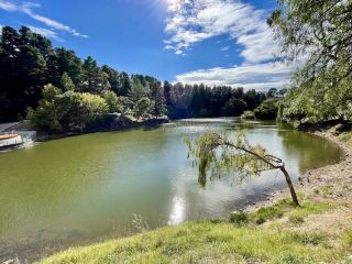 🌿 สถานที่พักผ่อนอันเงียบสงบของธรรมชาติ: สวนพฤกษศาสตร์วิลสัน เบอร์วิค 🌸