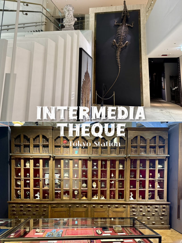 Where Academic Collections Feel Alive