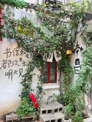 Traveling to Nanchang? Visit Yang Da Niang Zongzi