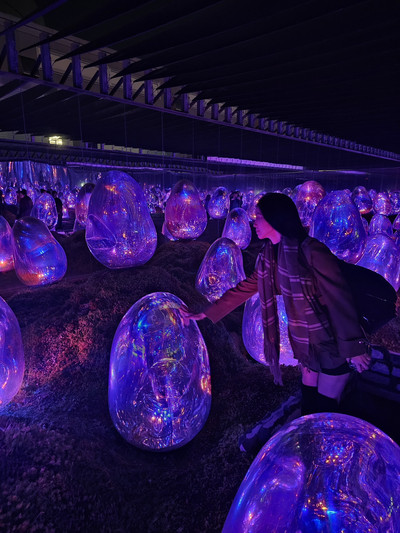 Immersive Light and Shadow Experience at the Tokyo teamLab Museum