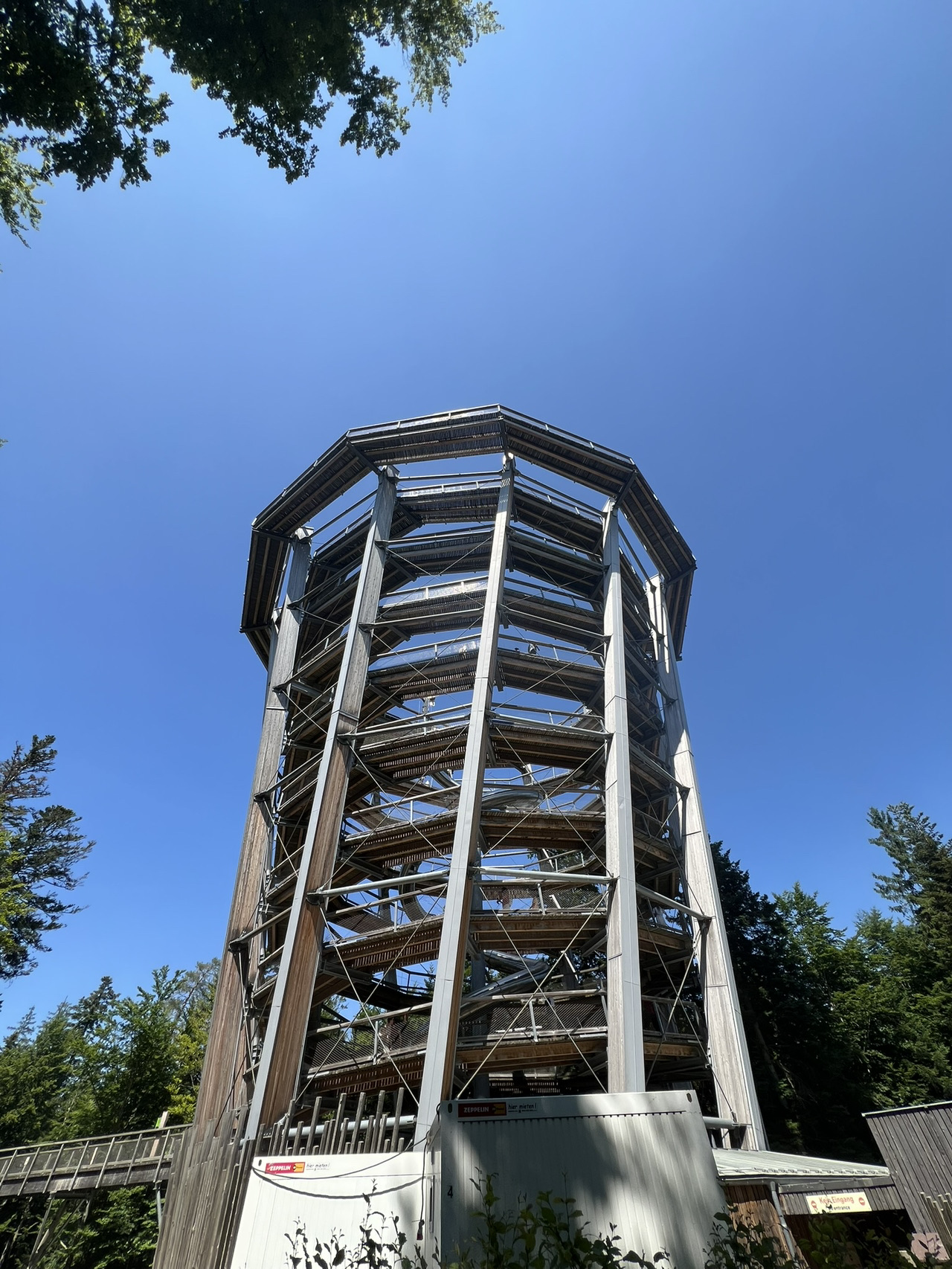 Tree Top Walk Black Forest 🌳🦌