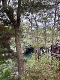 [제주 쇠소깍] 에메랄드빛 물길을 따라 걷는 제주 산책