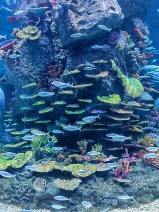 平日忙於衝刺目標、推進各項任務,我們一心向前追逐成果,習慣了向前奔跑,卻常常忽略身邊一路包容體諒、互相補位、合力扛壓的團隊夥伴,忘記感恩這份難得的並肩緣分。本次團建,我們走進羅霄山北麓的涼江古村,在湘贛鹽道沿線古村之中沉澱心境,銘記相守溫暖。涼江古村興於元代,坐落於攸縣通往贛西的古鹽道之上,先民自贛南輾轉遷居,湘贛兩地營造技藝與民俗交融共生。村內明清民居錯落於山谷梯田之間,古書齋、石拱古橋、麻石古驛保存完整,山澗溪流緩緩繞村,田園連綿、古樹亭亭,人文與山野風光相融,遠離商業喧鬧,氛圍靜雅悠遠。我們不疾不徐沿古巷與山徑漫遊,一邊細賞古建格局,一邊圍坐閒談,回顧團隊一路的磨合、堅持與成長。大夥坦誠分享感受,細數工作危難時互相扛壓、日常裡彼此體諒的溫暖瞬間,由衷感謝每一份成全與陪伴。閒逛時互相記錄合照、暢想未來方向,拋開職級與壓力,只剩下真誠無偽的夥伴情誼。羅霄山麓的歲月靜好,洗滌心中浮躁,讓我們更加懂得,所有亮眼成績從非一人造就,而是眾人同心、彼此成就。職場從無孤獨遠征,一群人、一條路,相伴同行方能行穩致遠。往後我們心懷感恩、篤定初心,同心相依、步履不停,以團隊之力奔赴屬於我們的星辰大海。
#新年好去處2026#travel2026