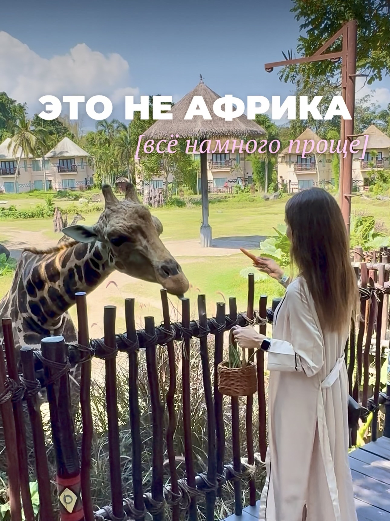 This isn't Africa. And you definitely won't guess where it is 👀🦒

Giraffes, rhinos, tigers, a restaurant right across from the predators, and a hotel where you can swim in a pool while watching the animals.

And all of this turned out to be much closer than I thought.

And if you like finding Bali like this, please follow @ursulgo_bali 🌴

#balisafari #safariBali #Bali #wheretogotobali #baliguide