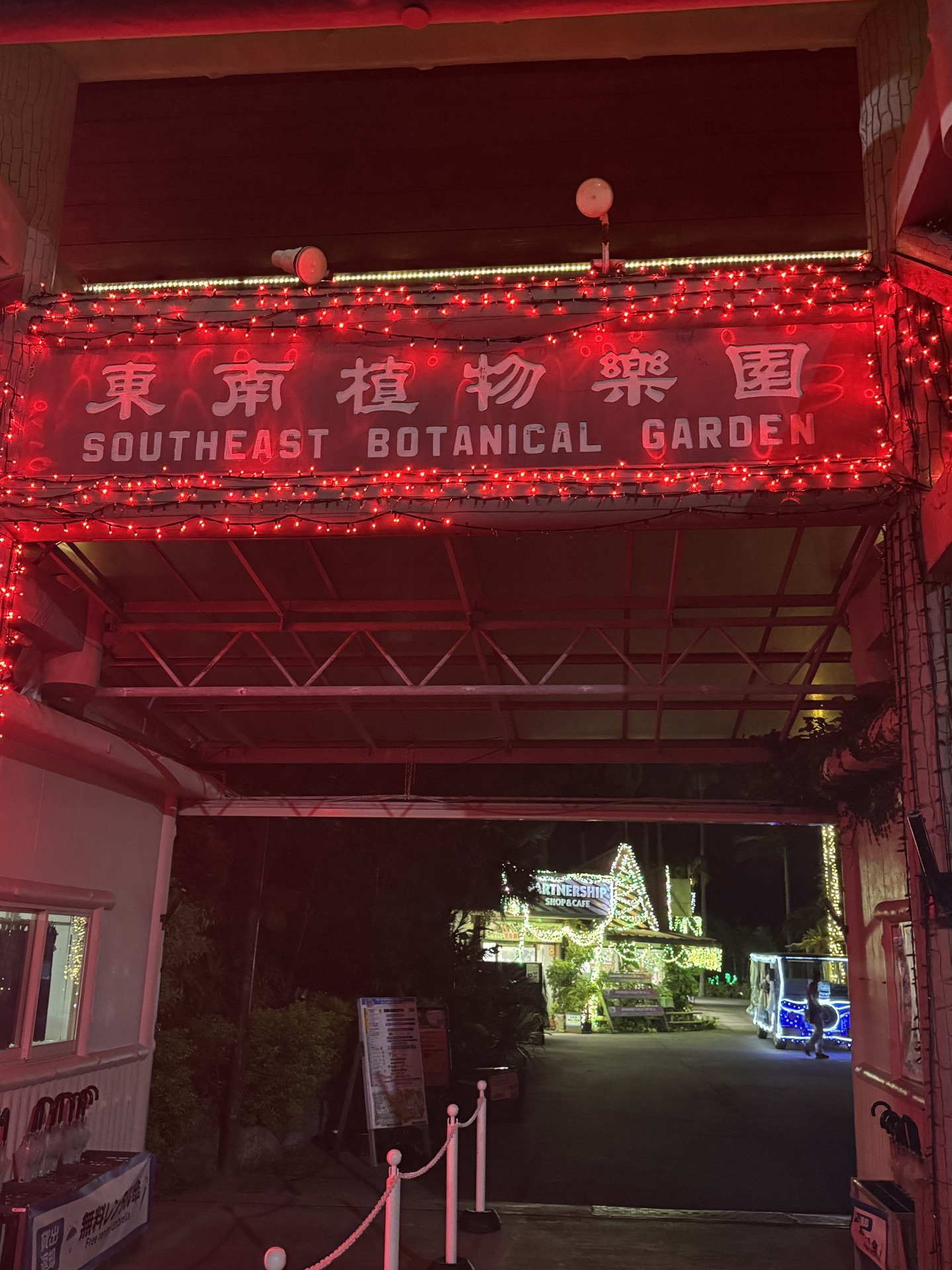 Stunning Light Display at a Hidden Okinawa Gem.