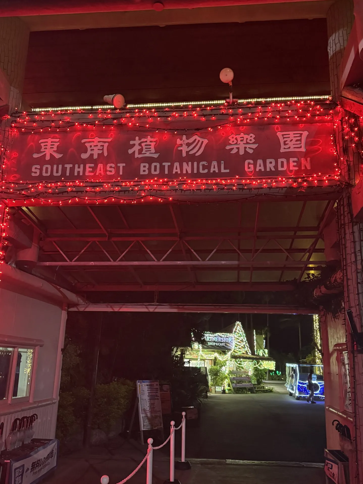 Stunning Light Display at a Hidden Okinawa Gem.