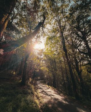 Ohiya — 隱世於斯里蘭卡高嶺的靜謐之夢