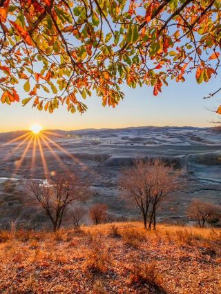 🍂 Ulan Butong | When You Stop Searching and Simply Feel Autumn