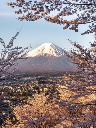 日本がまた私を呼んでいる。一度の旅では全然足りなかった 🗾✨