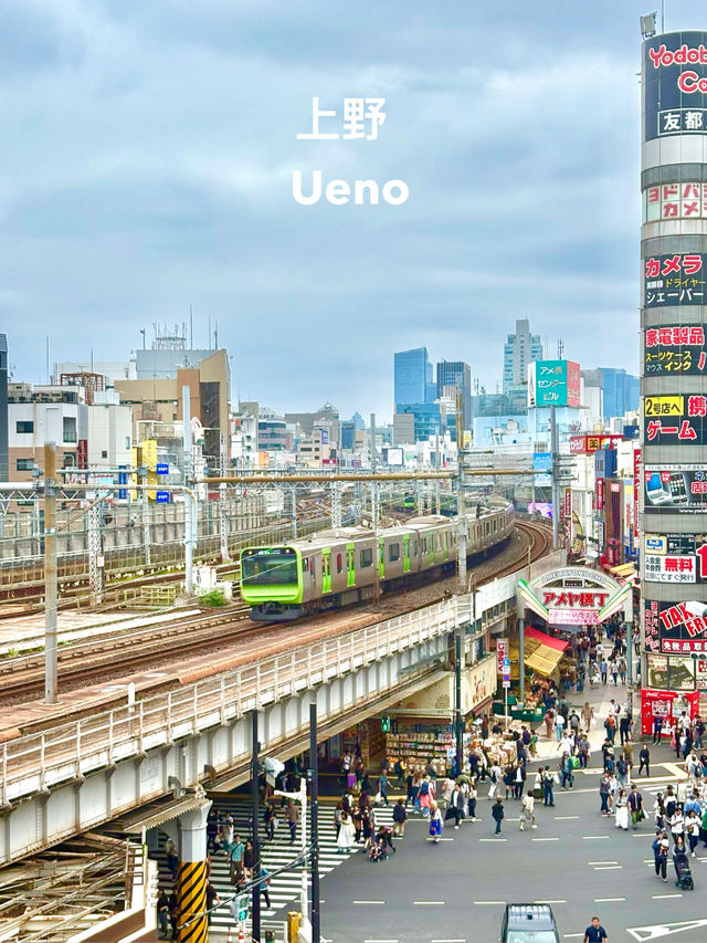 🗼日本東京 「膠囊旅館住宿體驗」 🗼日本東京 「膠囊旅館住宿體驗」