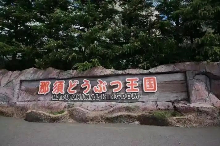나스 동물왕국에서 즐기는 힐링 체험! 카피바라를 코앞에서, 귀여운 동물 친구들과 인생샷 찍기.