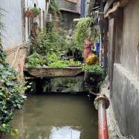 Lovely Lijiang!