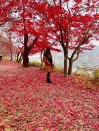 AUTUMN IN NAMI ISLAND