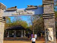 An Adventurous scape 2 Komodo National Park!