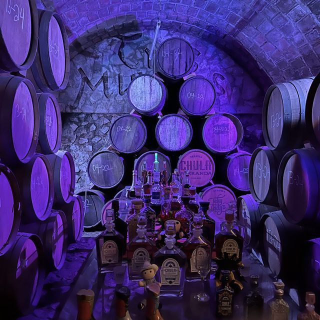 墨西哥-Tequila小鎮龍舌蘭酒廠之旅