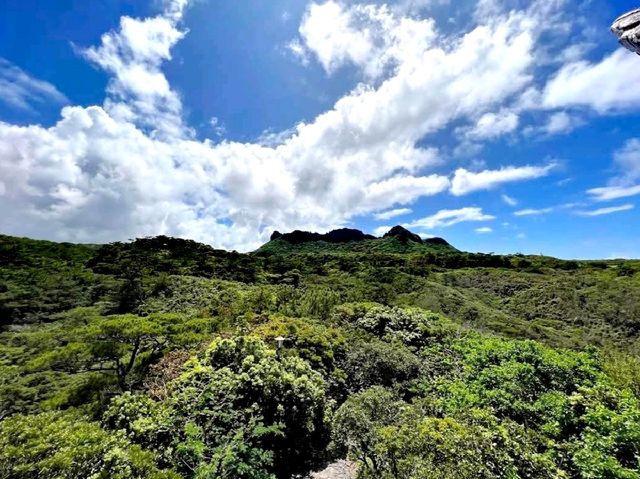 山原秧雞觀景台
