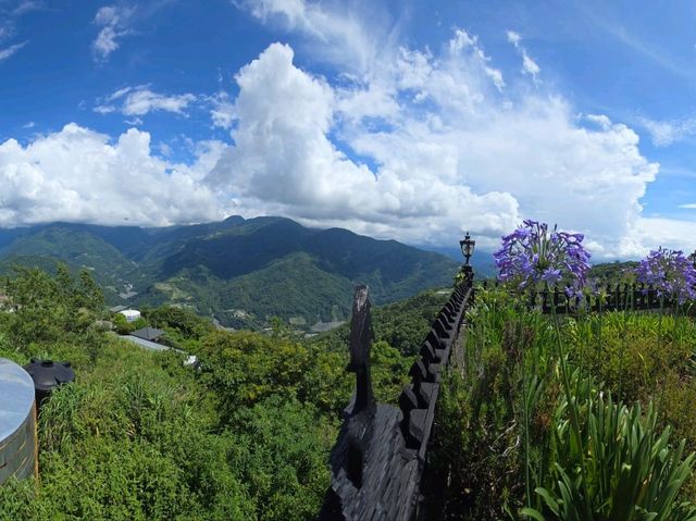 🏞️ 日月潭一日漫遊指南｜從台中出發的湖光山色輕旅行