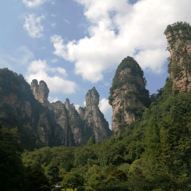 Breathtaking Zhangjiajie 🐒🌿