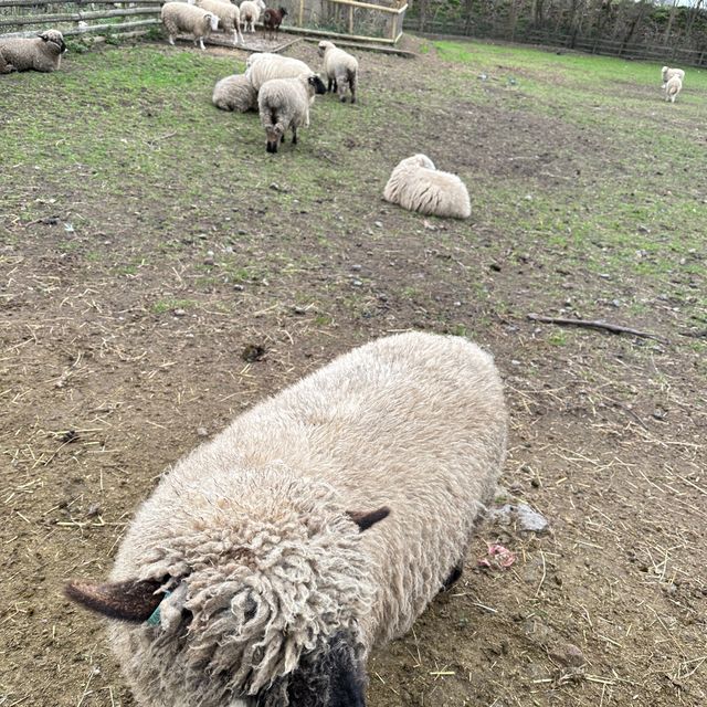 🇬🇧 A Vast Farm in the Heart of London