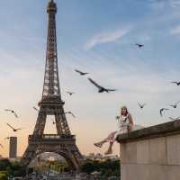 The best viewpoint to see the Eiffel Tower