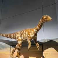 National Museum Cardiff