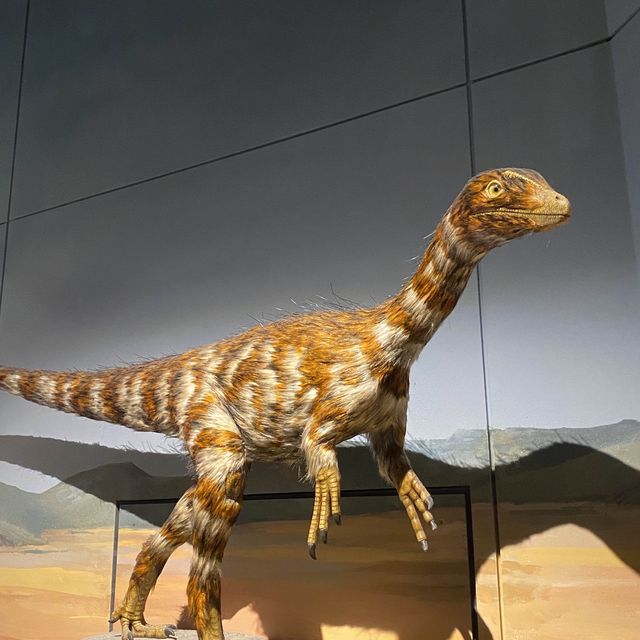 National Museum Cardiff