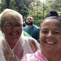 Monteverde cloud forest 🌳 