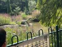 Crystal Palace Dinosaurs 🇬🇧