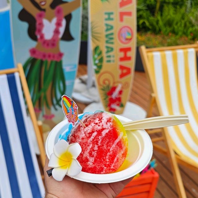 Hula Shave Ice: Xuanwu Lake