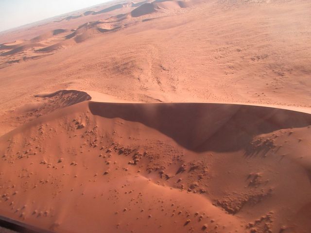 Wild Serenity in Namibia