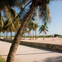 Contemporary Luxury at W South Beach