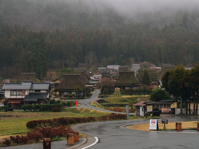 Kyoto, Japan 🇯🇵 