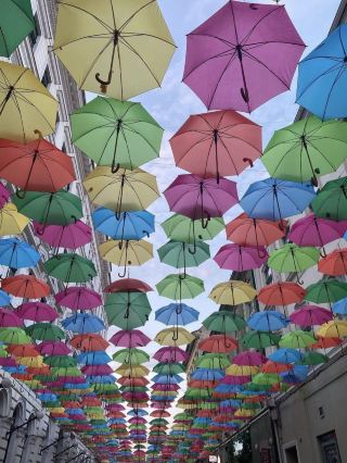 Timisoara is lovely 🥰 