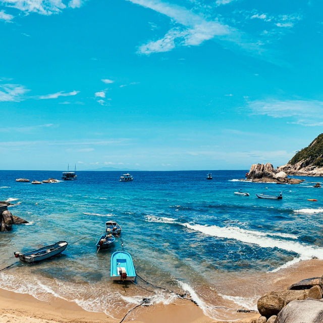 Calypso Diving Koh Tao
