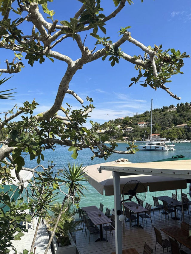 Friends in Paxos 🇬🇷