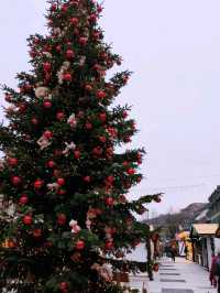 Christmas Magic in Bern: A Traveler’s Guide 🎄✨