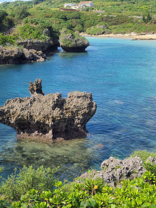 The marine garden of Okinawa 