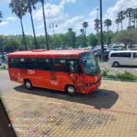 You want to get to know the city, font forget to use the big red bus!!! 